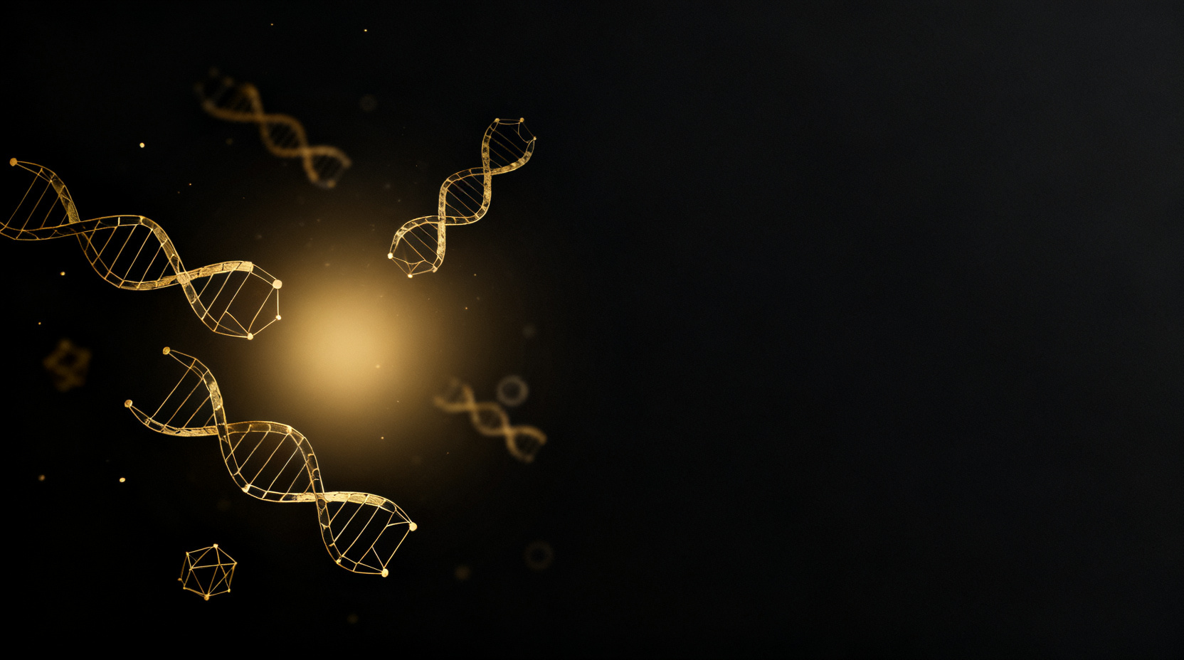 Skin Longevity: The Biology of Why Skin Ages